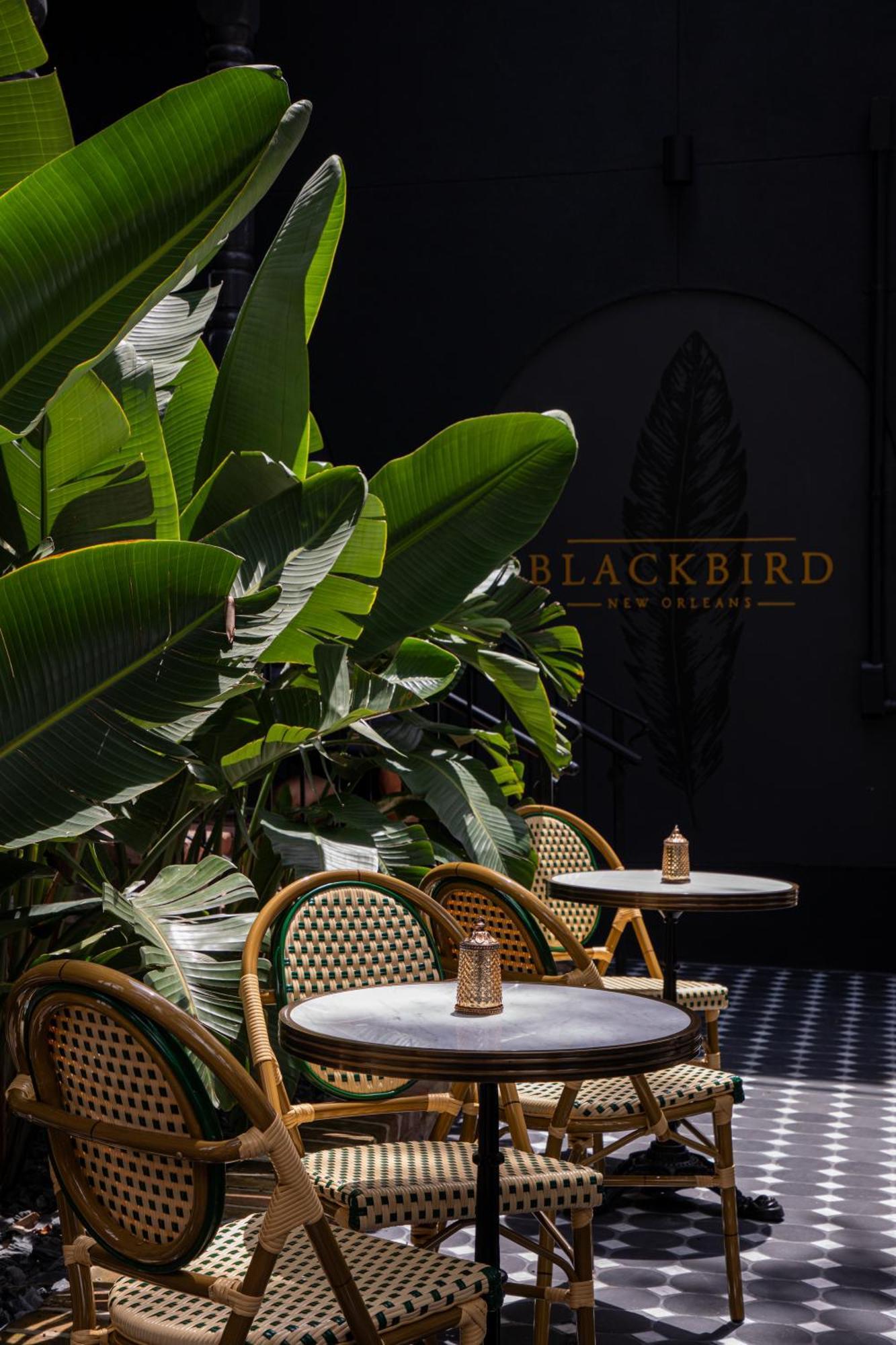 Blackbird Hotel نيو أورلينز المظهر الخارجي الصورة