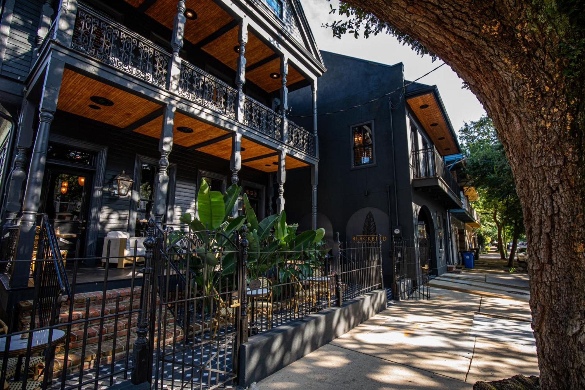 Blackbird Hotel نيو أورلينز المظهر الخارجي الصورة