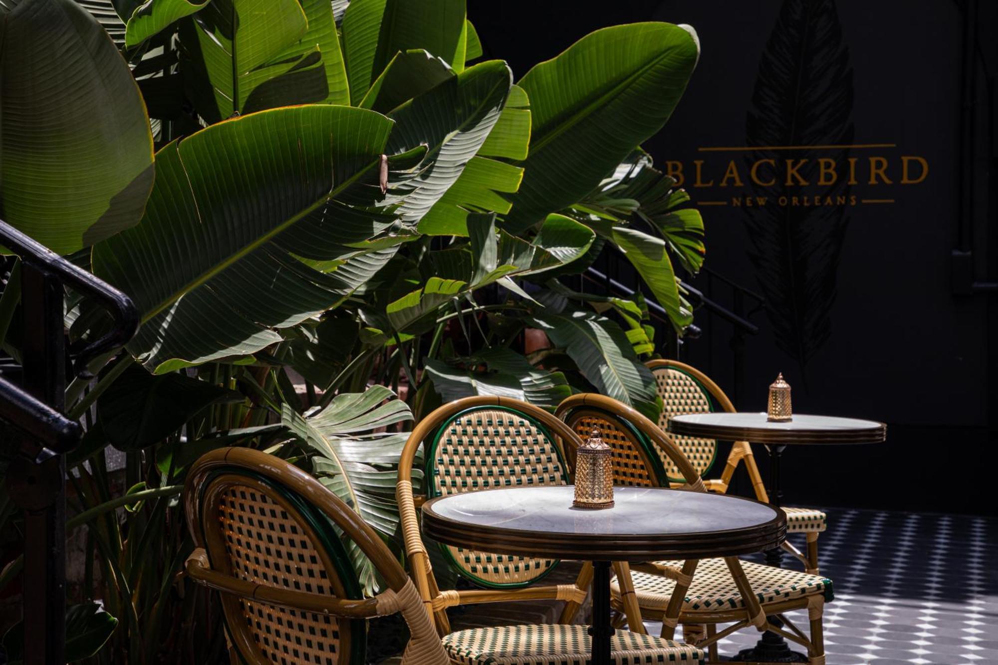 Blackbird Hotel نيو أورلينز المظهر الخارجي الصورة